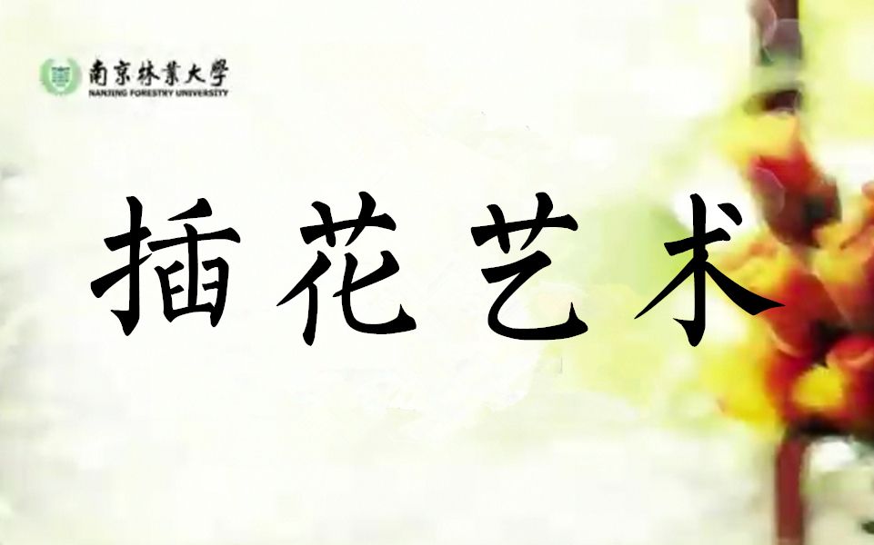 【干货】插花艺术插花入门 | 南京林业大学公开课 | 六集全