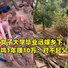 90后女子大学毕业远嫁乡下，创业养鸡1年赚10万：对不起父母