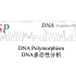 DNAsp_DNA Polymorphism（DNA多态性分析）