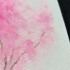 【水彩】書簽——不知道畫的是櫻花還是桃花