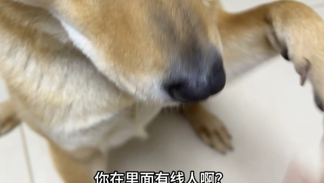 谁干的