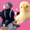 🐥 鸡 推 の 孩 子