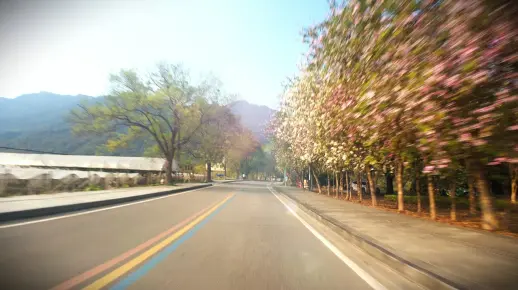 春天是一首浪漫诗