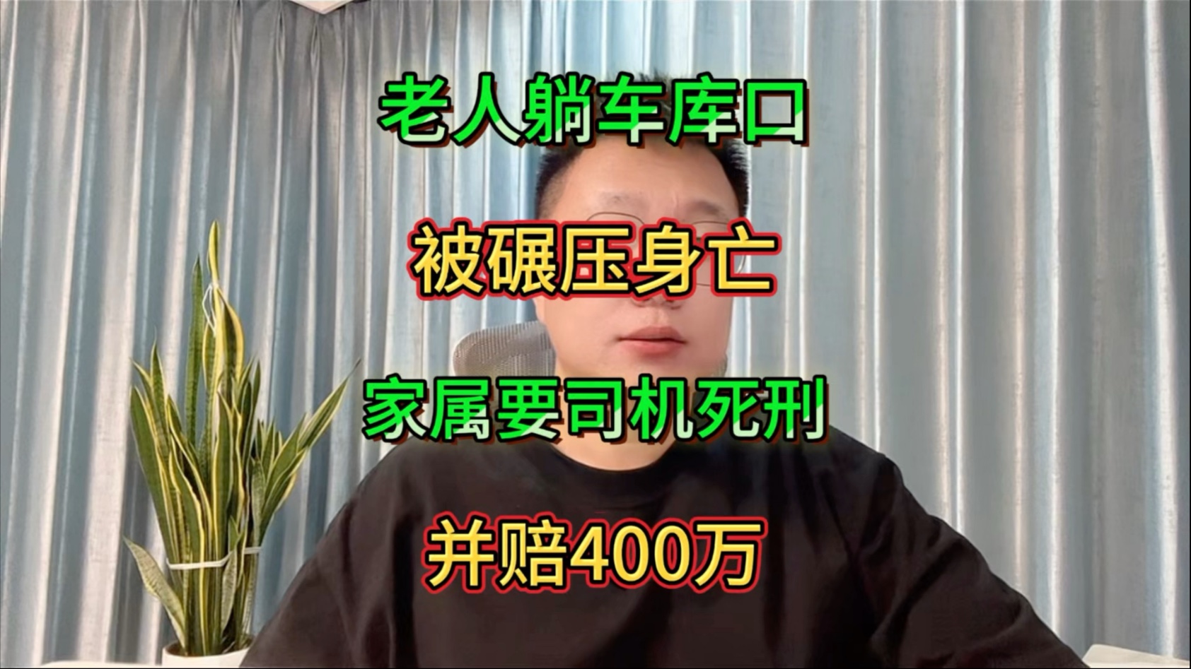 苏晨和他的小伙伴儿