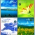 大自然环保音乐系列《风》《花》《雪》《月》4CD--1（CD饭制版 纯乐）