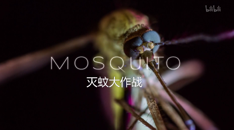 【纪录片】灭蚊大作战-Mosquito