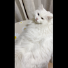 打～屁～股
