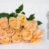 【大叔说花】柏拉图玫瑰评测/家庭环境实拍测试/鲜切花新品种玫瑰评测13