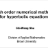 Chi-Wang Shu “High order numerical methods for hyperbolic eq