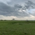 非洲塞伦盖蒂大草原，风吹来，融于自然。