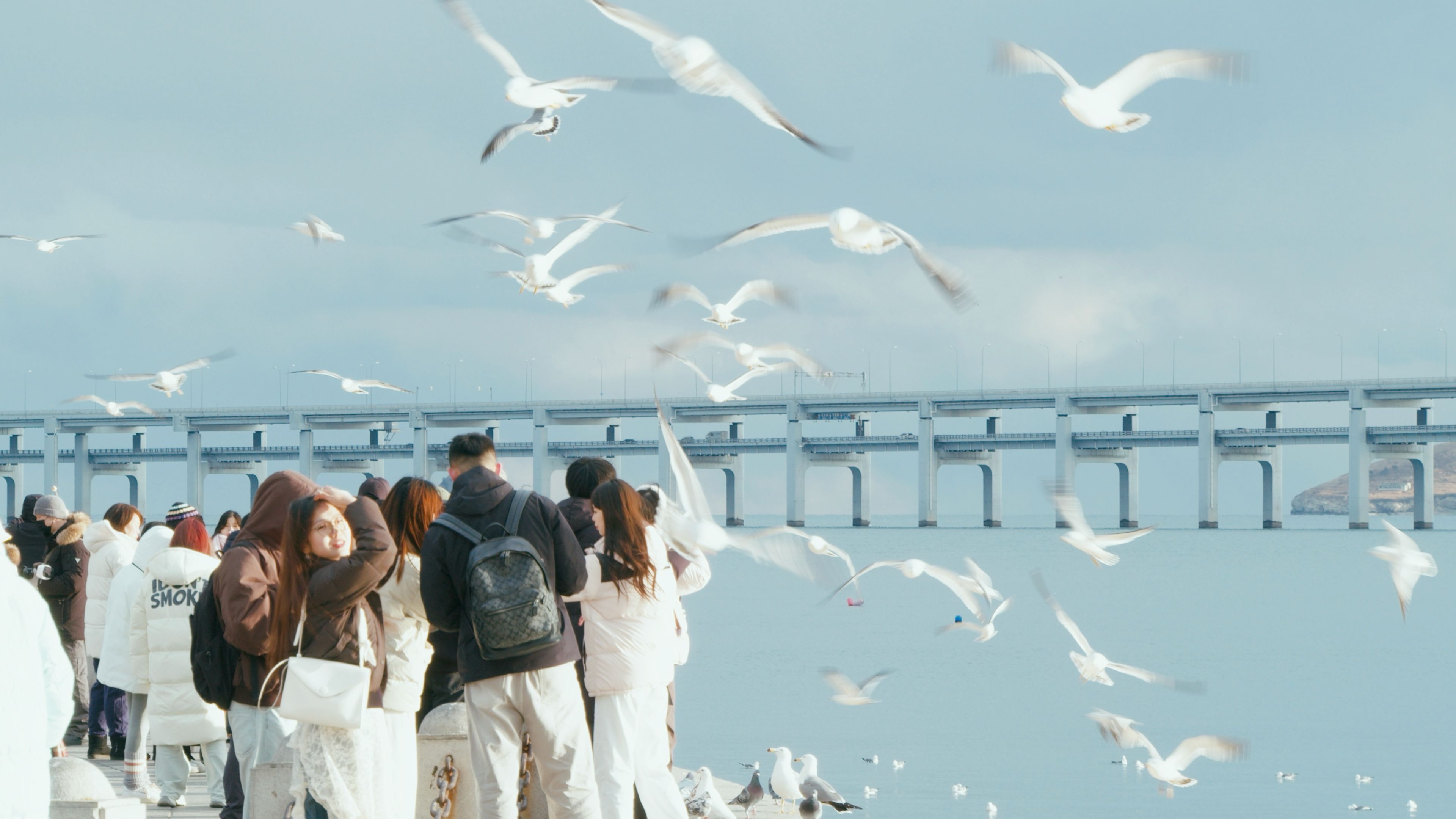 有一种浪漫叫做大连