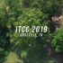 【不是很极限的运动】2019ITCC国际攀树锦标赛混剪