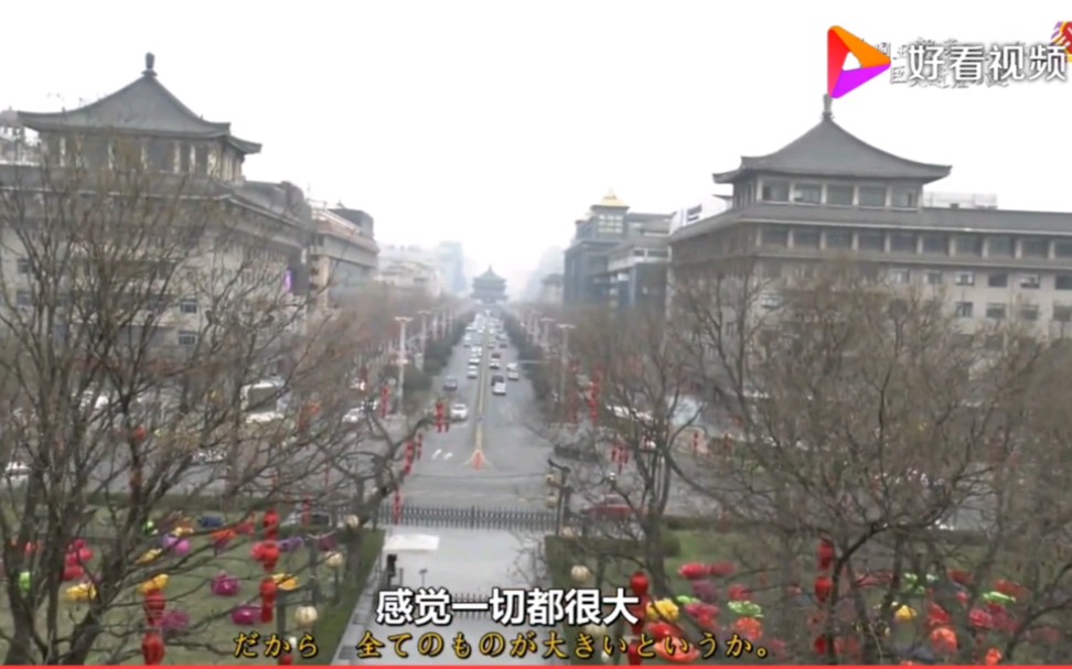 日本节目：像中国这样宽阔的道路，在日本根本看不到！