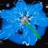 137 UE4UE5素材 舞台游戏水波水攻击技能雷电传送阵花朵盛开特效4.27-5.1