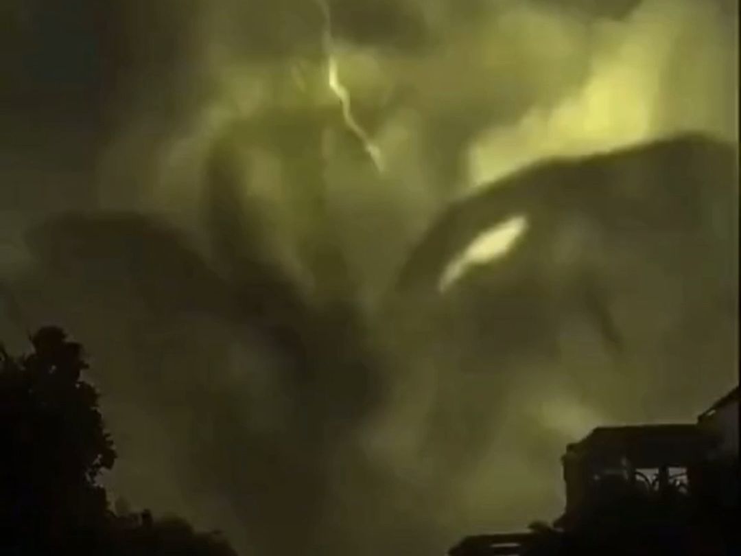 lit. the true dragon descends to earth (idiom); fig. a miraculous birth