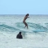 Waikiki Style 超chill的冲浪视频，长板冲浪的魅力无法言表！DDDD！