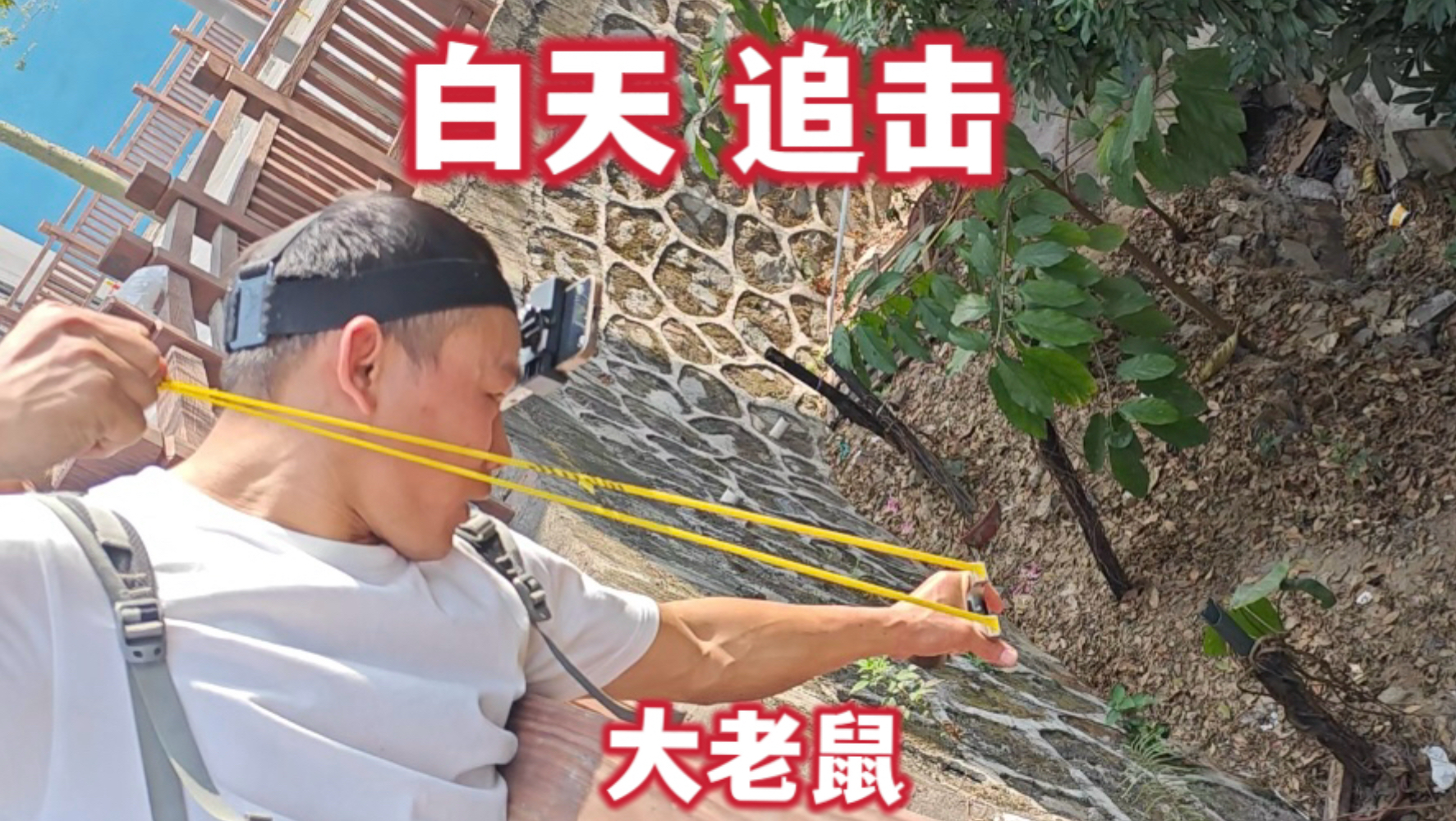 外卖小哥提供白天灭鼠线报引发路人围观，真是边吃边爆头太下饭了