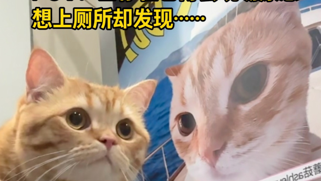 风里雨里 蘑菇厕所等你