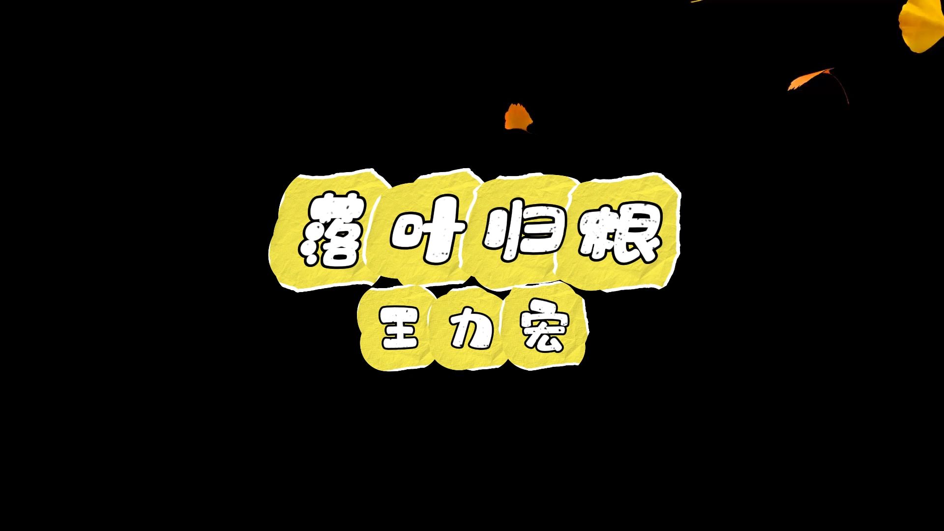 落叶归根-王力宏 高质量和声伴奏