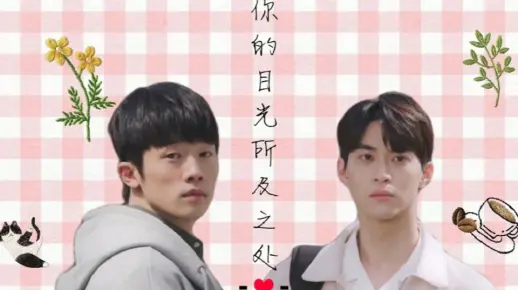 【你的目光所及之处】花