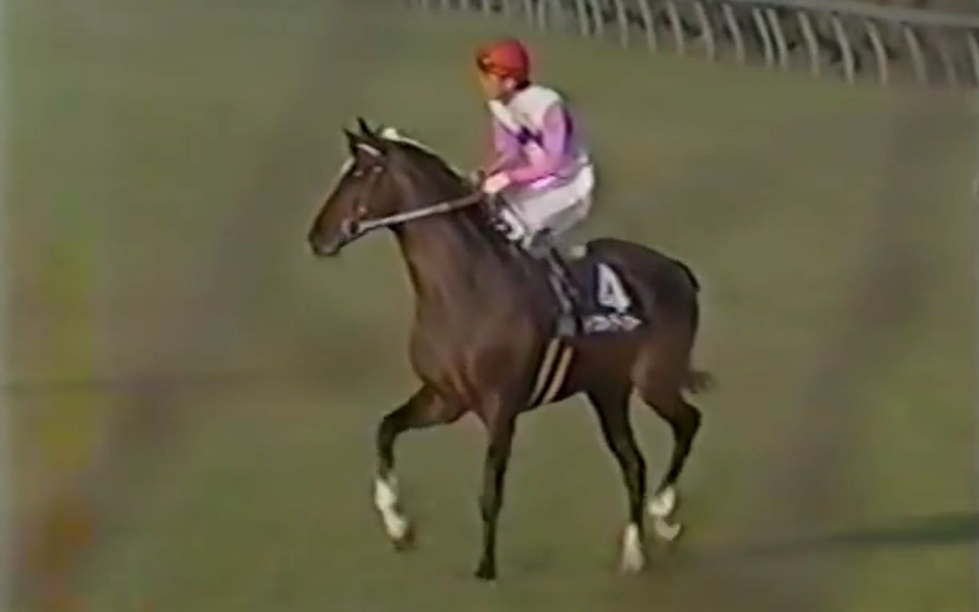 1993年トウカイテイオー第38回有馬記念完全中継中央競馬ダイジェスト 
