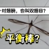 明明只有一对翅膀，为什么蚊子苍蝇叫双翅目？