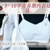 9-16岁少女内衣分享