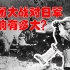 百团大战对日军影响有多大？日军报告：出乎意料，无法统计