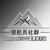 deepseek使用秘籍（提示词