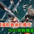 日本覆灭前最后的疯狂：1500架战机直撞美舰，日本特攻队为何不怕死
