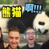 外国人看熊猫抖音失去理智！根本看不够啊！！！！！