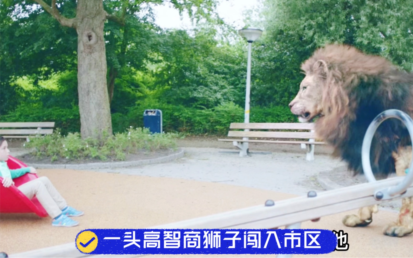 一头智商巨高的狮子闯入市区。