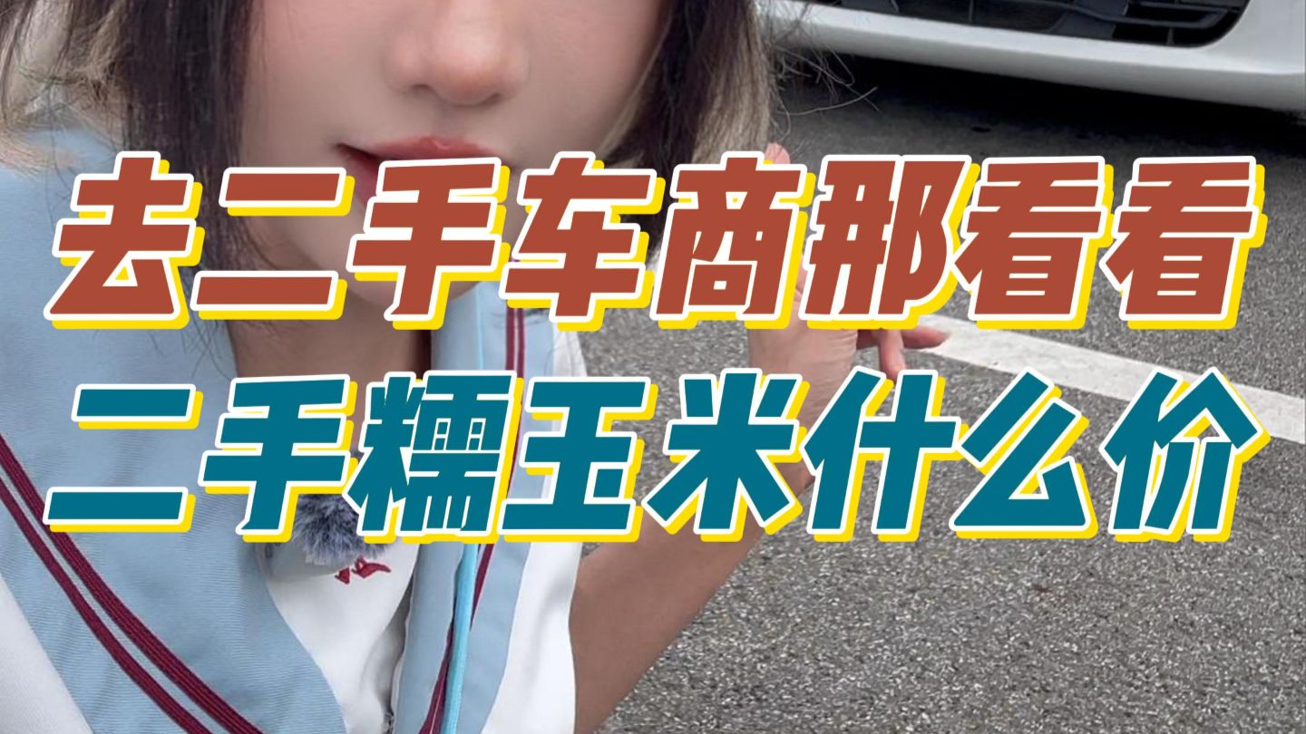 3万公里的代步小电车糯玉米二手什么价？