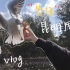昆明喂鸥vlog｜回云南的第一件事｜一月末的海鸥 翠湖 老街和暖阳