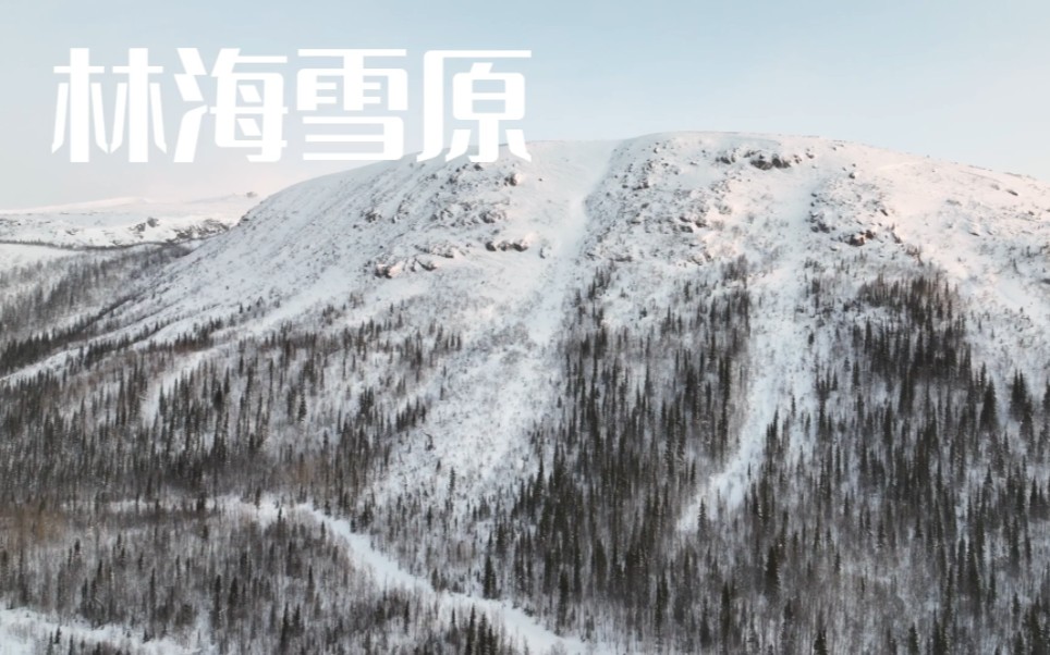 航拍挪威冬日雪景｜林海雪原千里冰封