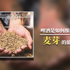 Ep. B001「啤酒是如何酿成的？」—— 麦芽的旅程