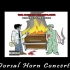 医学术语歌 - Dorsal Horn Concerto