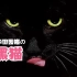 黑猫，为啥称为玄猫？养黑猫的体验是什么样的？