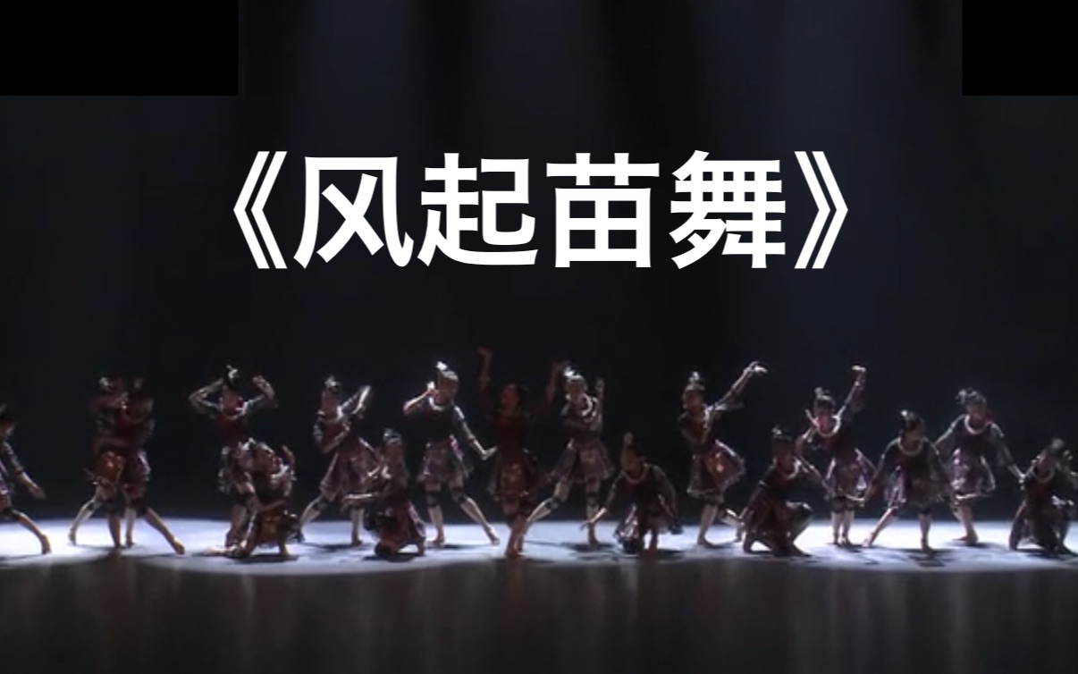 12 《风起苗舞》苗族群舞 广西歌舞剧院 第十一届荷花奖舞蹈比赛（民族舞）