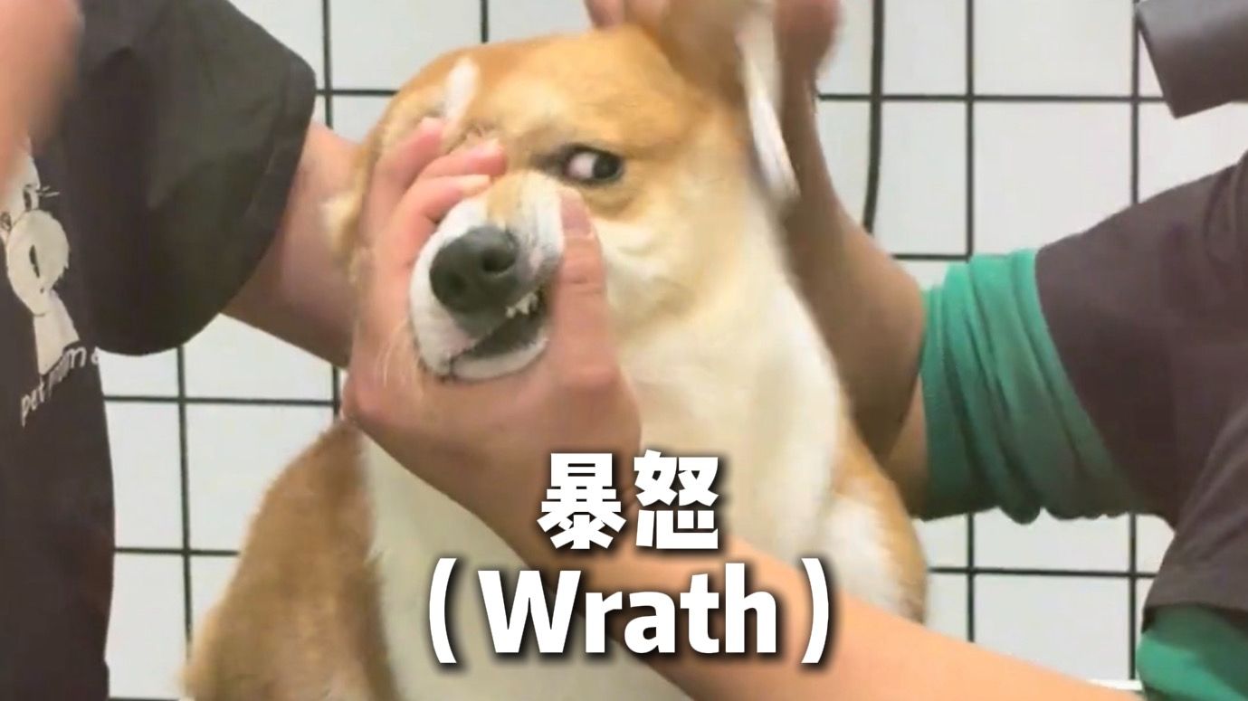《狗界七宗罪》