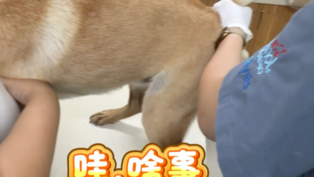 咦～