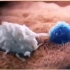 免疫细胞吞噬癌细胞的过程