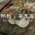 #海派百工 #海派绒绣 ：针尖上的“东方油画”——上海市国家级非物质文化遗产代表性项目  #非遗 #绒绣 #上海绒绣