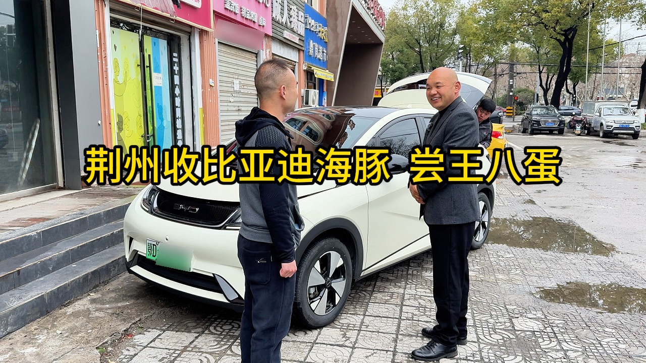 去荆州收台比亚迪海豚，顺便带兄弟们尝一下“王八蛋”