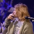 Nirvana - MTV Unplugged 1993 (25周年纪念版)