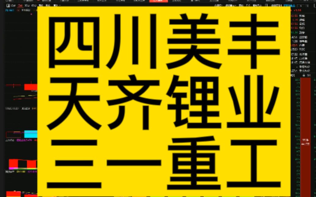 看清主力动向技巧讲解!四川美丰、天齐锂业、三一重工哔哩哔哩bilibili