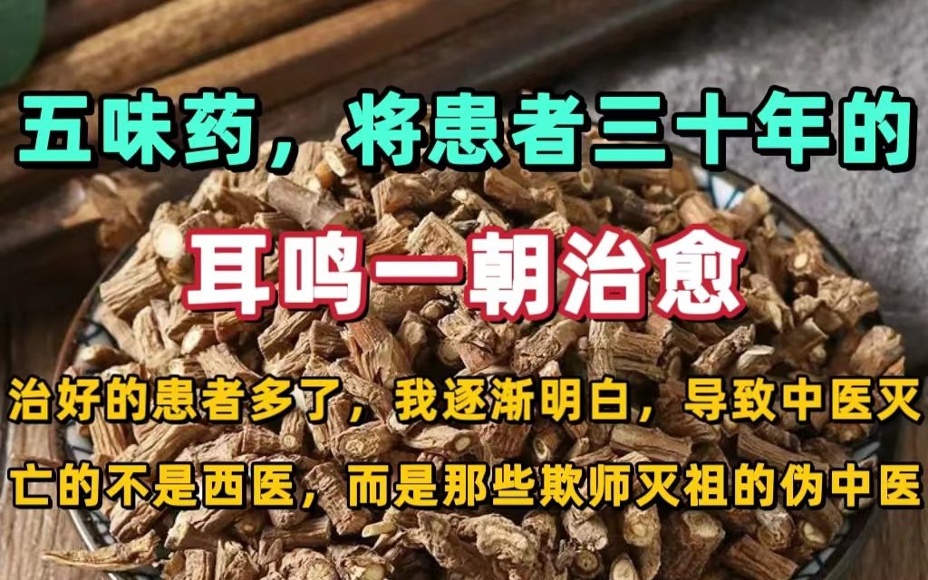 字幕下载