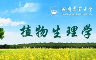 【湖南农业大学】植物生理学哔哩哔哩bilibili