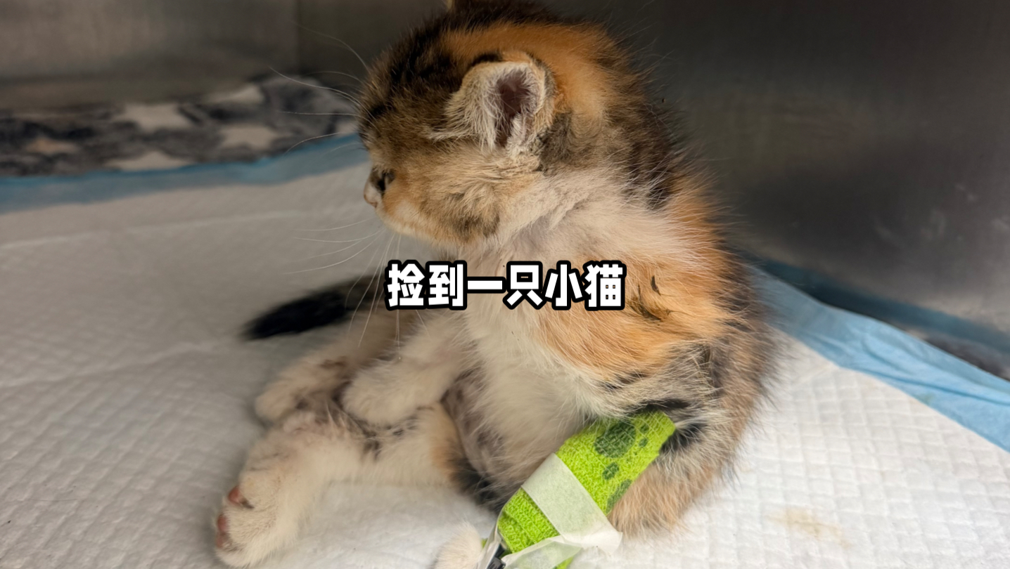 你一定可以度过难关，从此以后你就有家了