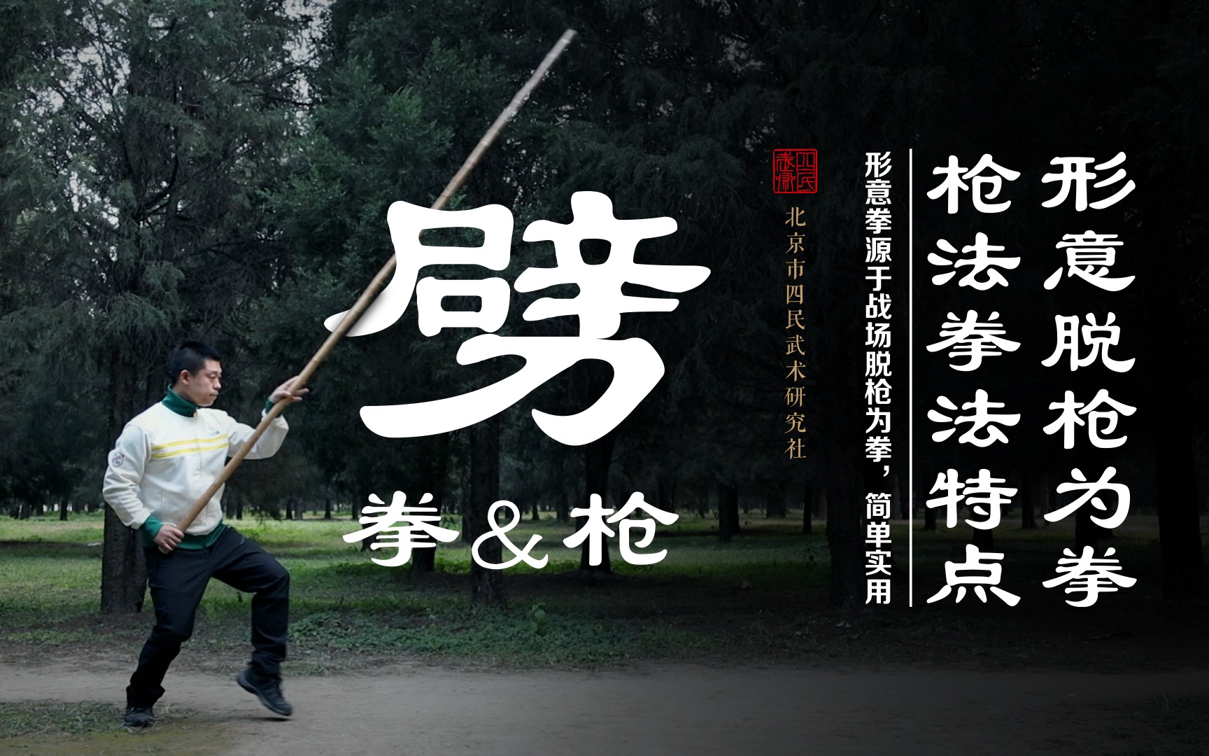 形意脱枪为拳枪法拳法特点劈拳劈枪